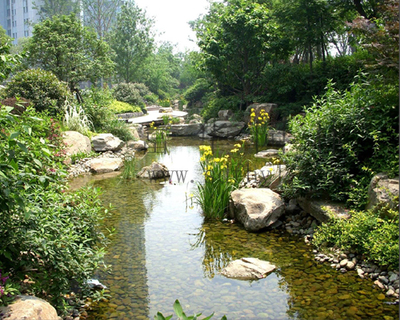 河道景观02